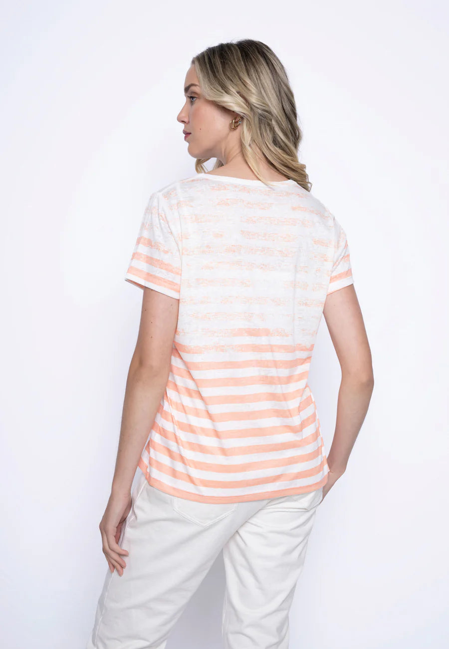 Back image of Picadilly short sleeve printed tee shirt in papaya multi.