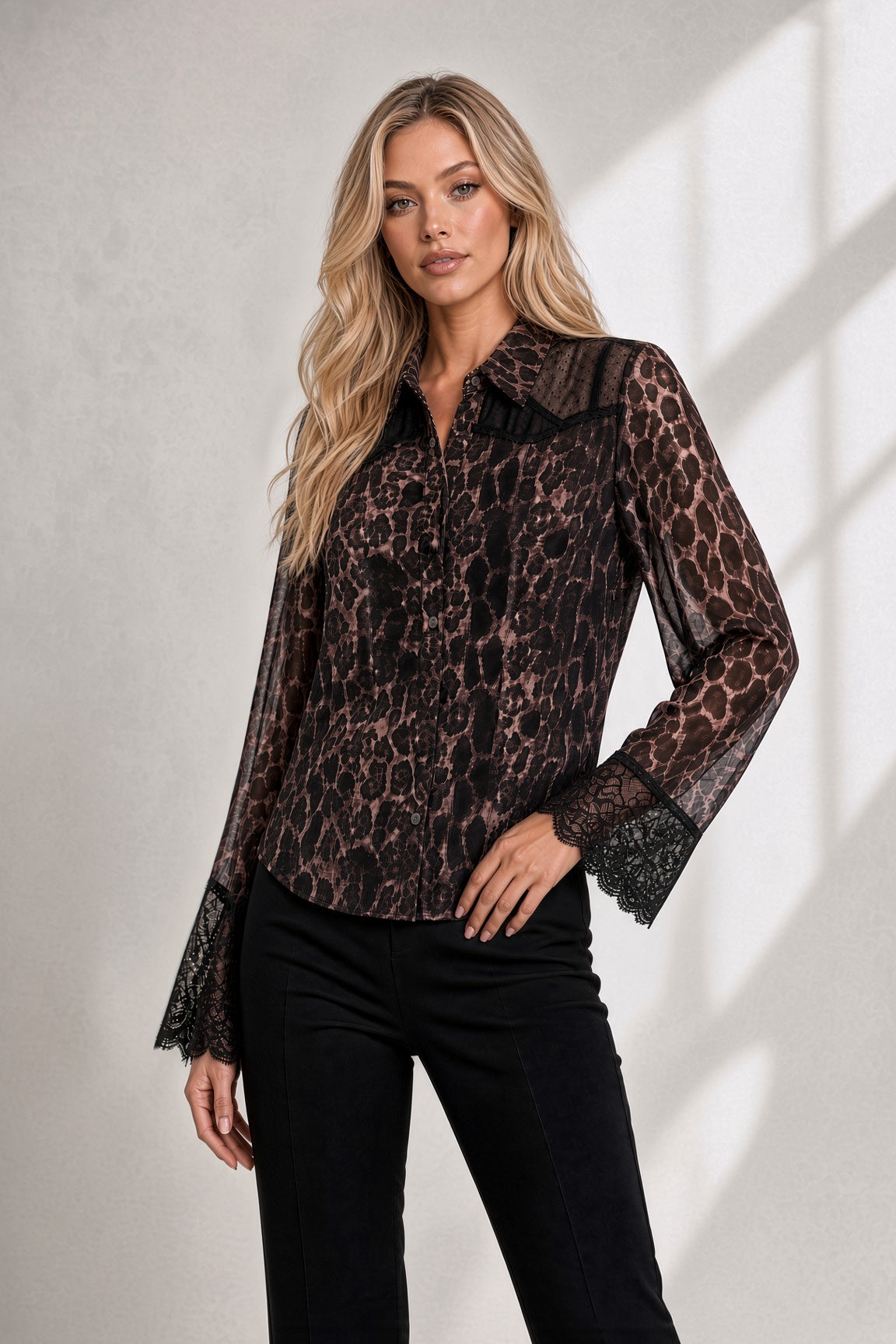 Long Sleeve Button Front Sheer Animal Print Top