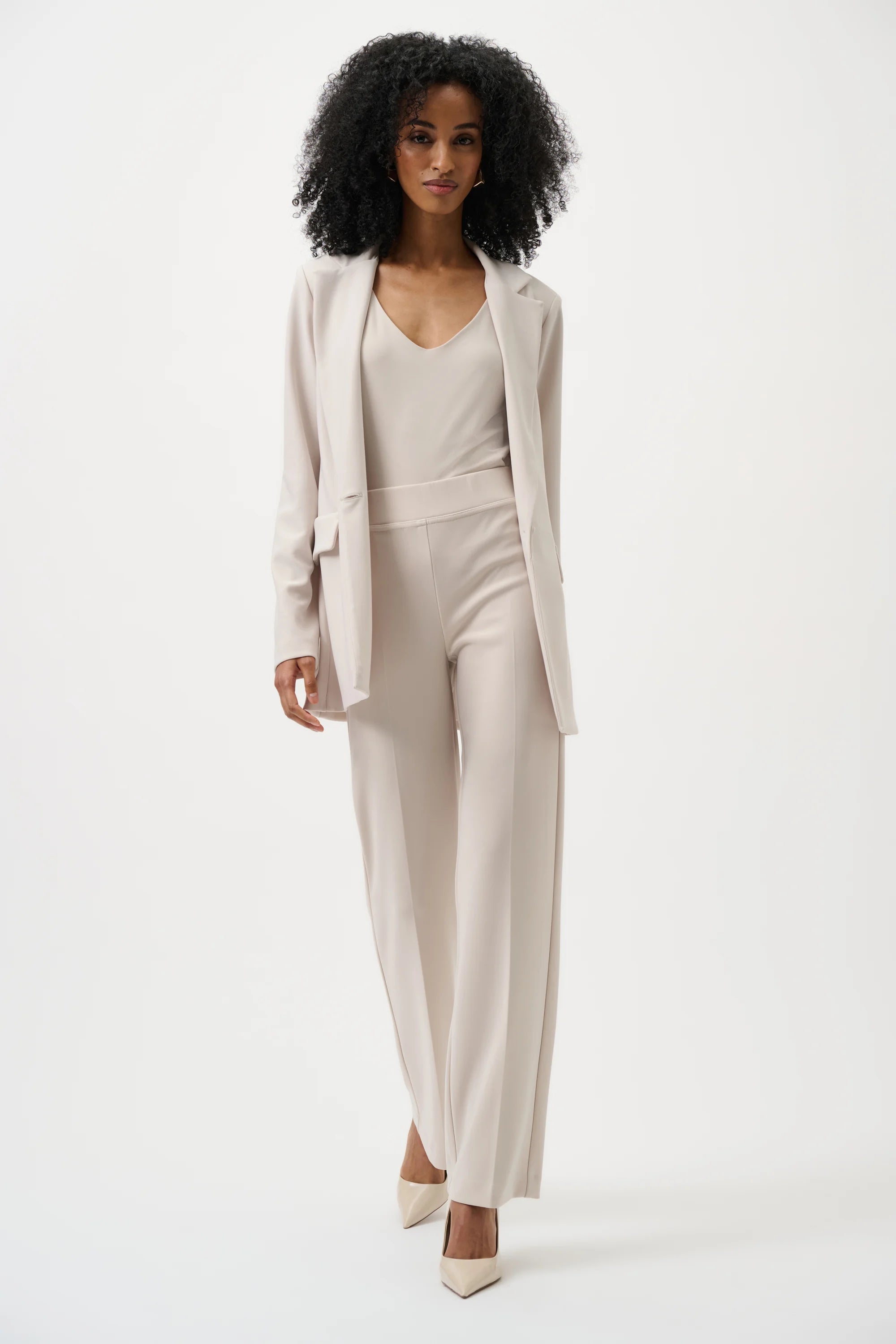 Full Body View of Joseph Ribkoff Classic Wide Leg Pant in Moonstone