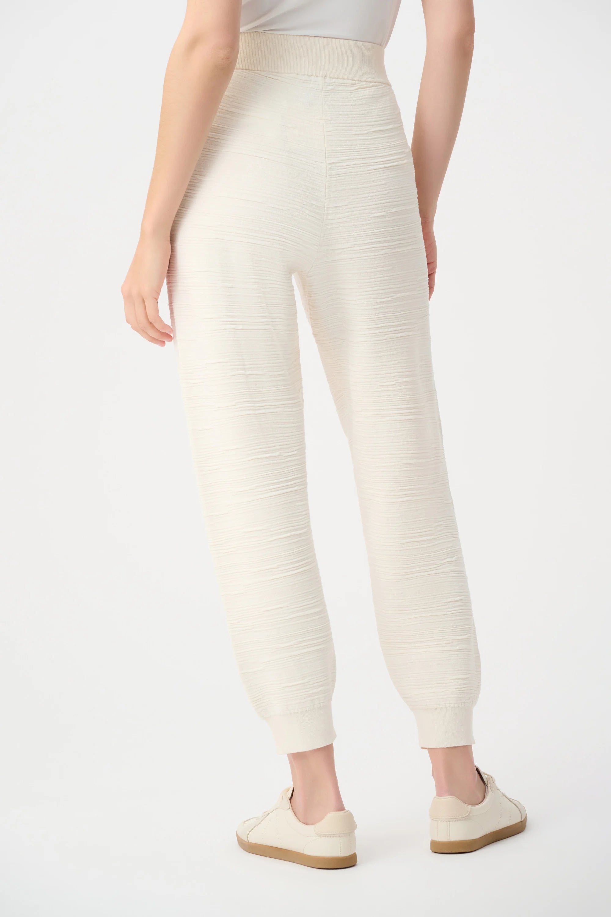 Back View Image of Joseph Ribkoff Sweater Knit Pull-On Jogger Pants in Birch