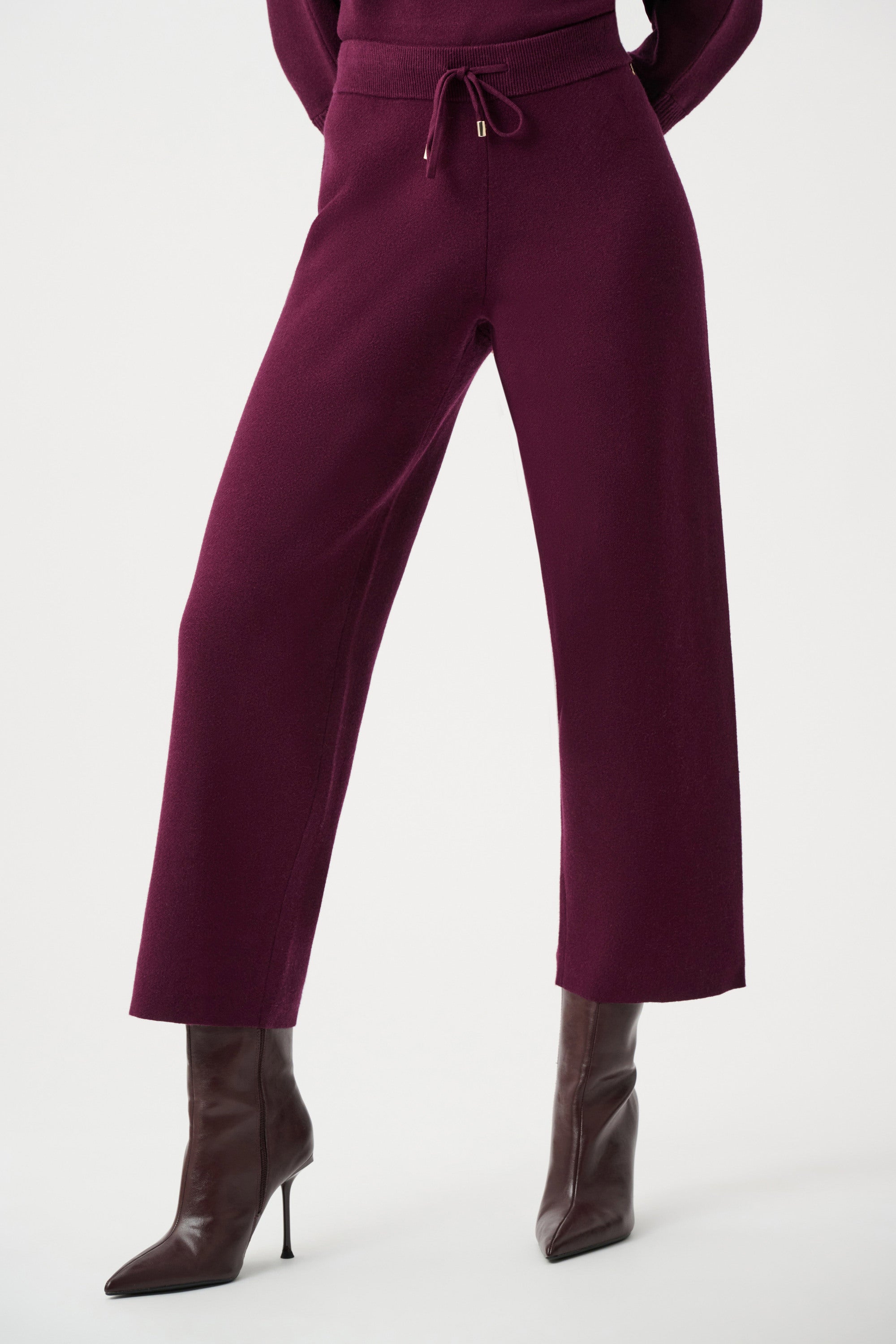 Front View Image of Joseph Ribkoff Brushed Viscose And Nylon Knit Pull-On Pants in Elderberry