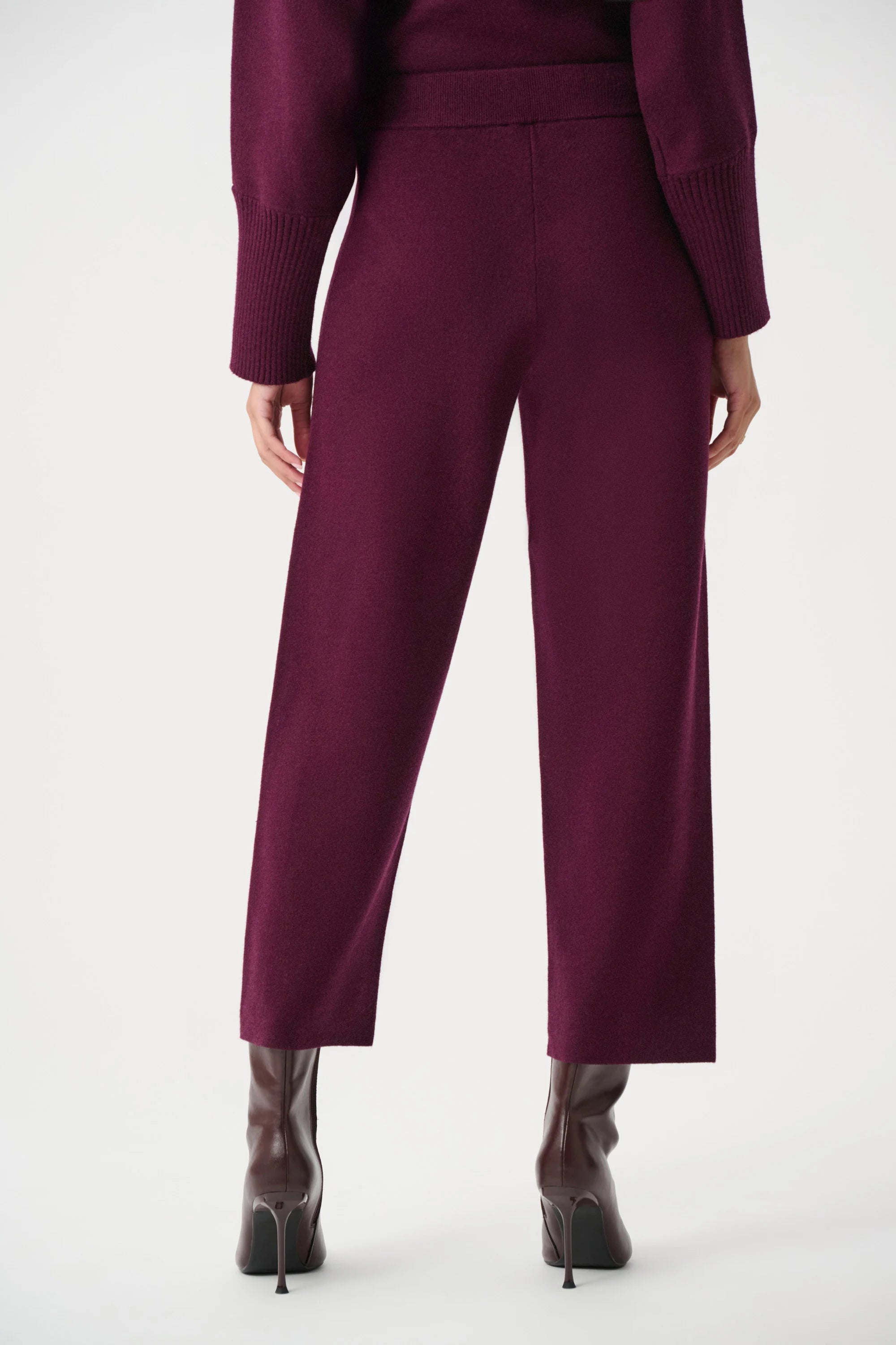 Back View Image of Joseph Ribkoff Brushed Viscose And Nylon Knit Pull-On Pants in Elderberry